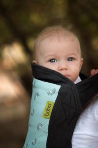 Boba Carrier 4G Limited Edition – WishFlower